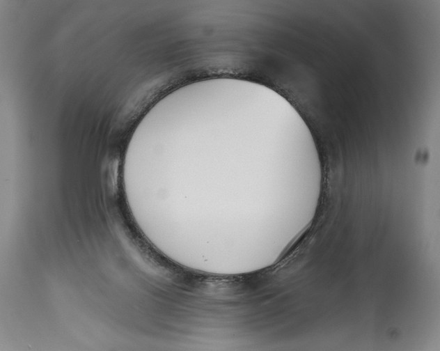 X0000115080070200911171204