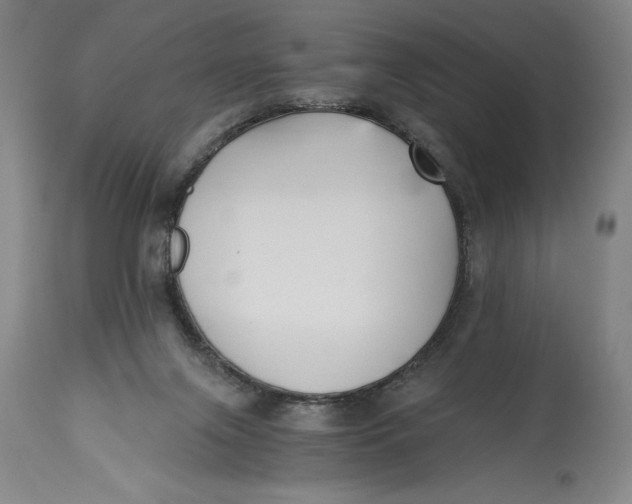 X0000115080071200911171204