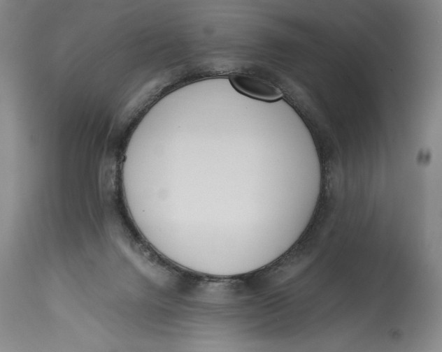 X0000115080072200911171204