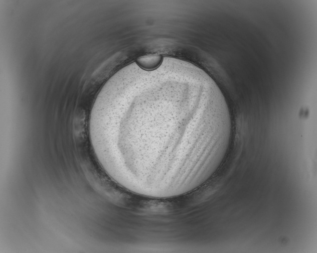 X0000115080073200911171204