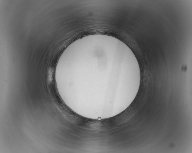 X0000115080075200911171204