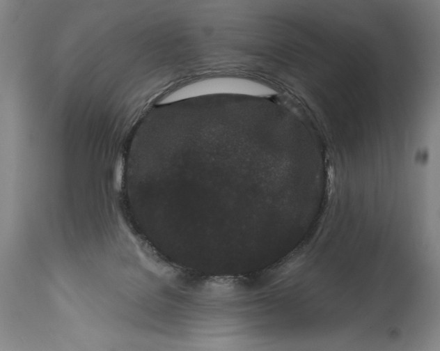 X0000115080076200911171204