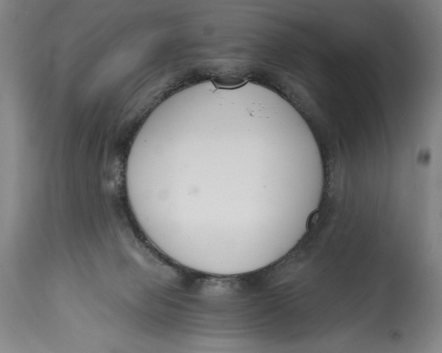 X0000115080077200911171204