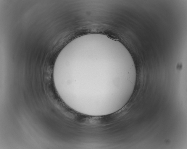 X0000115080078200911171204