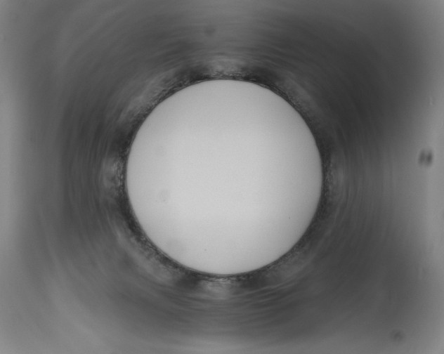 X0000115080079200911171204