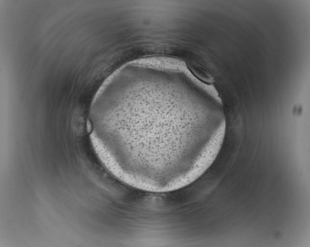 X0000115080080200911171204