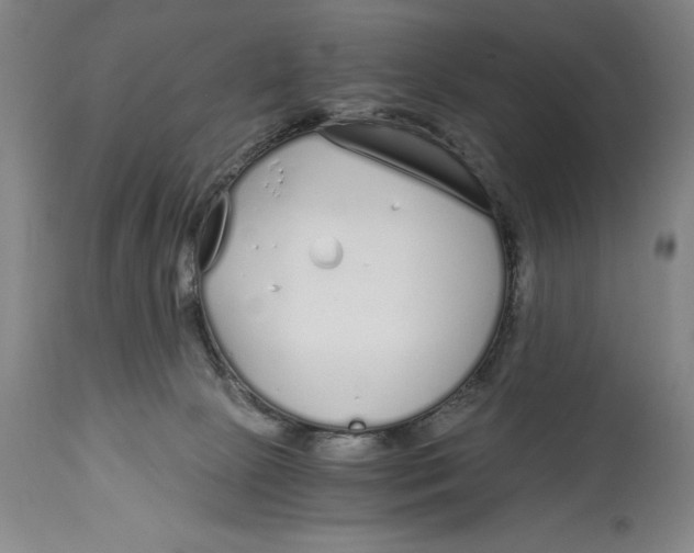 X0000115080081200911171204