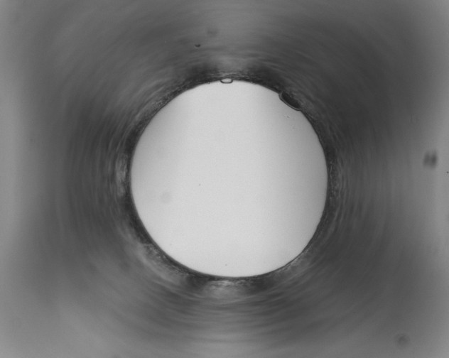 X0000115080082200911171204