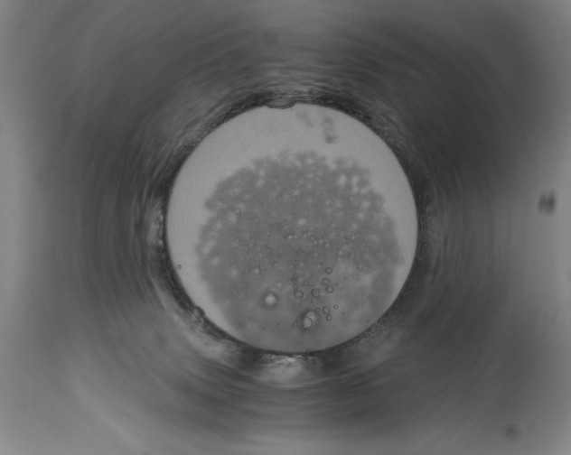 X0000115080083200911171204