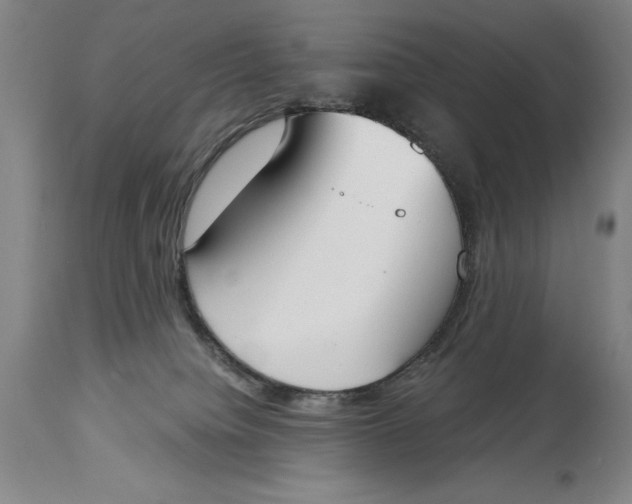 X0000115080084200911171204