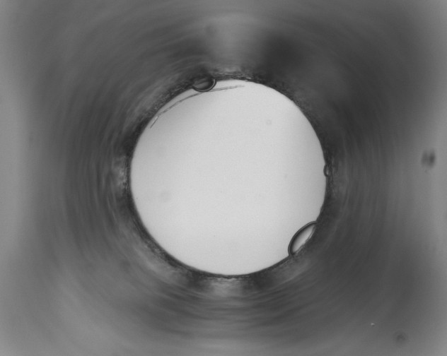 X0000115080085200911171204