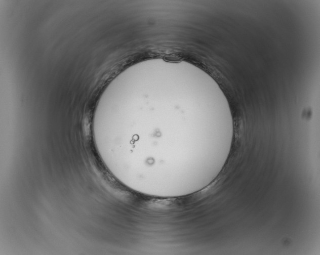 X0000115080086200911171204