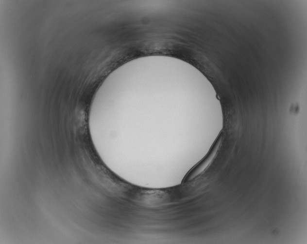 X0000115080087200911171204