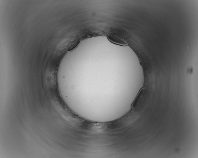 X0000115080088200911171204