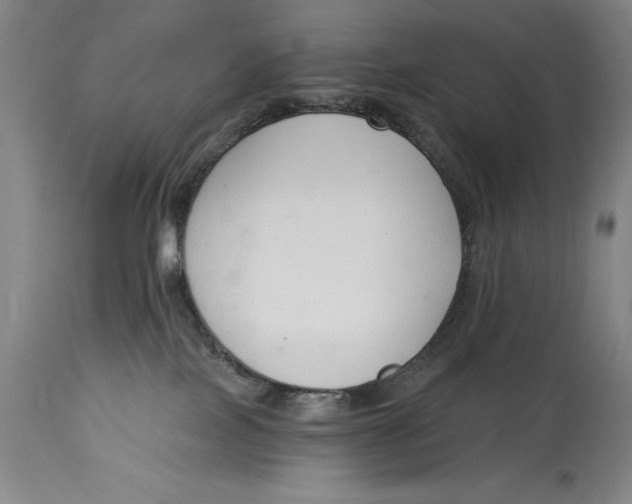 X0000115080089200911171204
