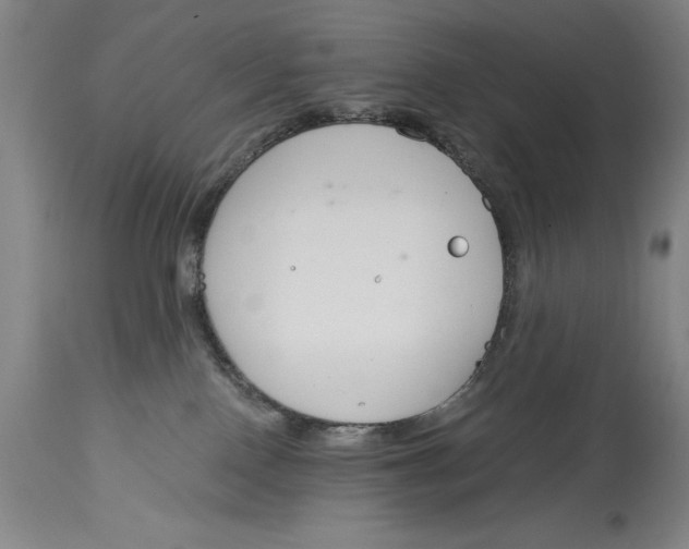 X0000115080090200911171204