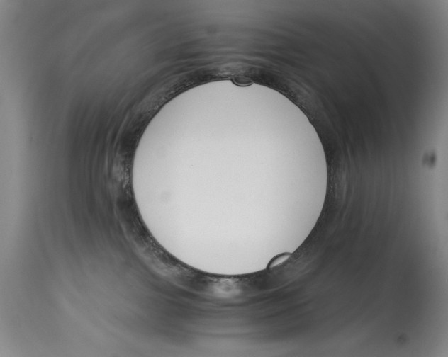 X0000115080091200911171204