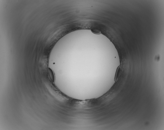 X0000115080092200911171204