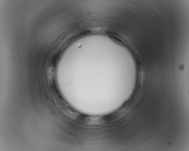 X0000115080093200911171204