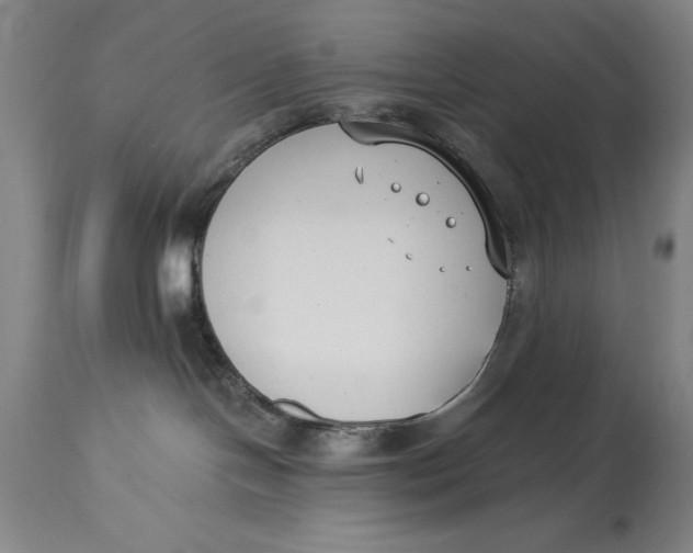 X0000115080094200911171204