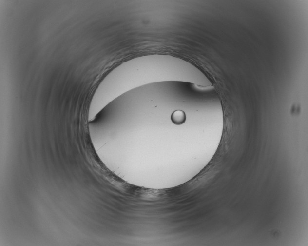 X0000115080096200911171204