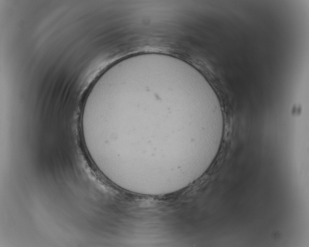 X0000115080098200911171203