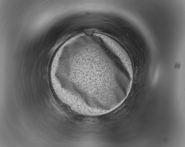 X0000115080099200911171203