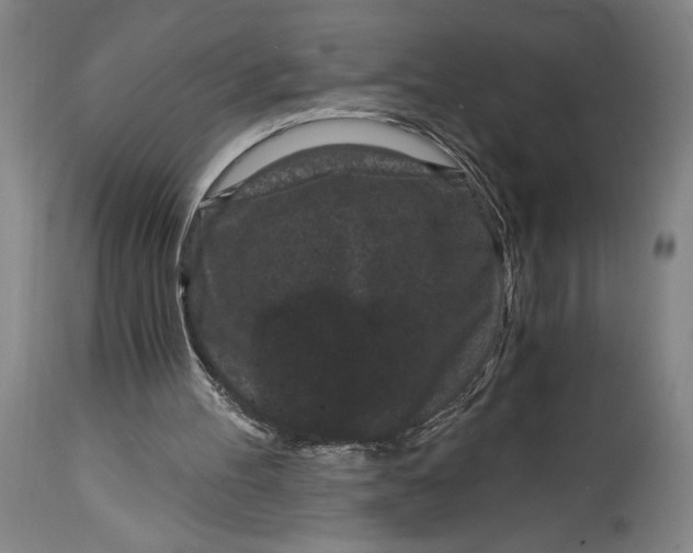 X0000115080100200911171203