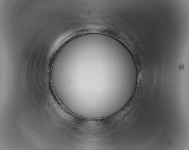 X0000115080101200911171203