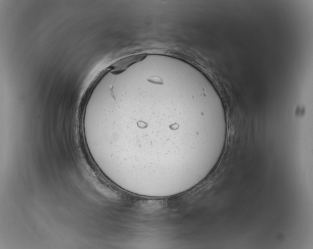 X0000115080102200911171203