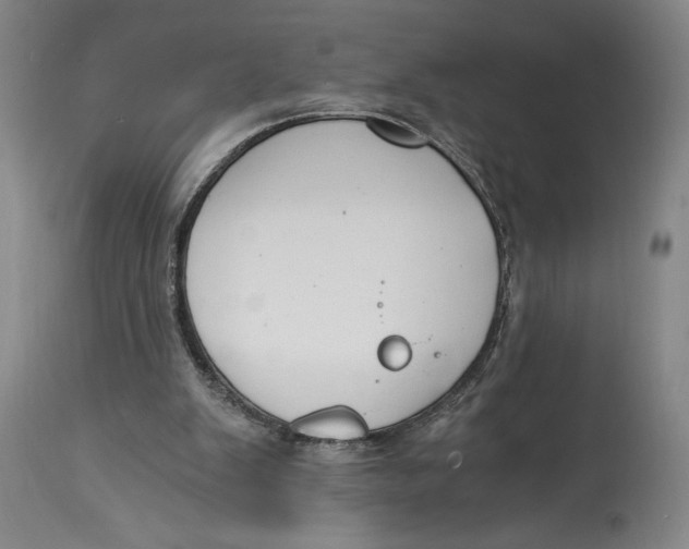 X0000115080103200911171203