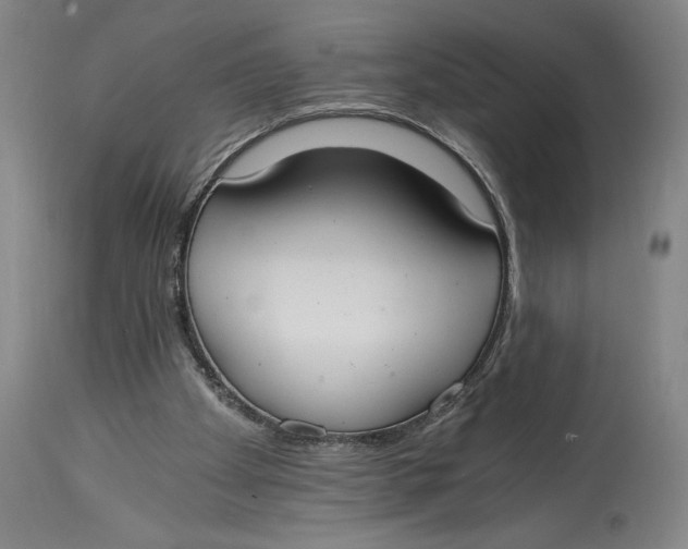 X0000115080105200911171203
