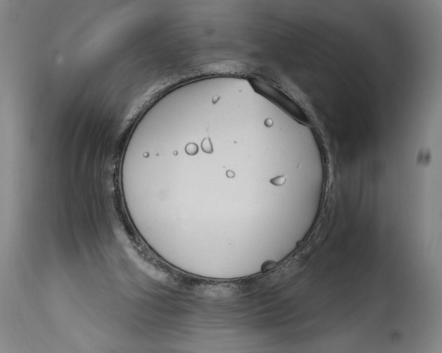 X0000115080106200911171203