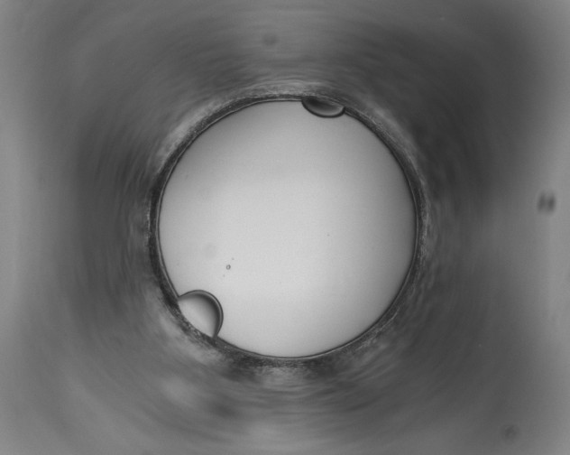 X0000115080107200911171203