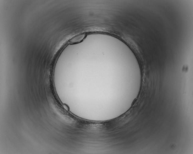 X0000115080108200911171203