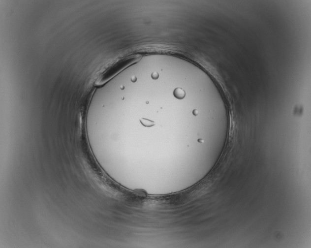 X0000115080109200911171203