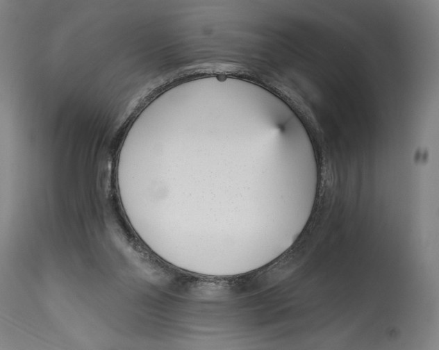 X0000115080110200911171203