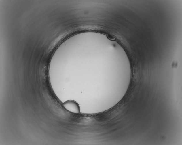 X0000115080111200911171203