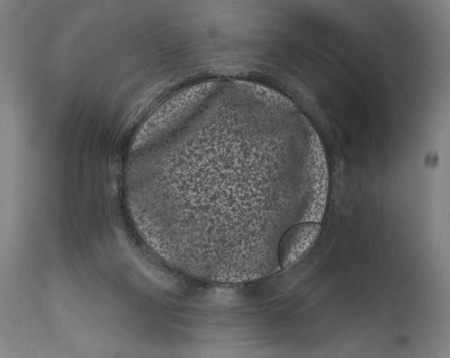 X0000115080114200911171203