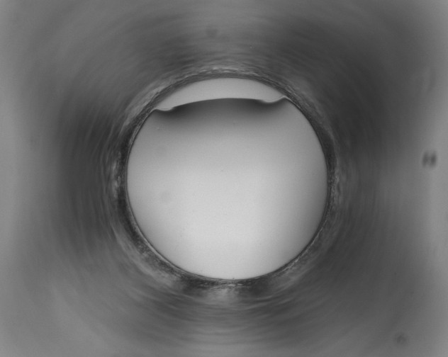 X0000115080116200911171203