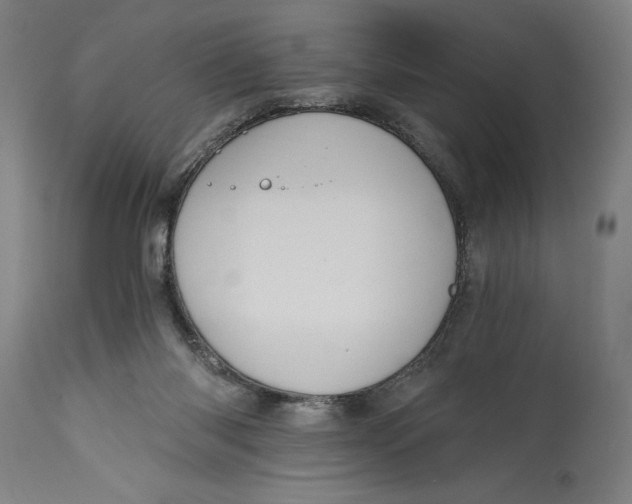 X0000115080118200911171203