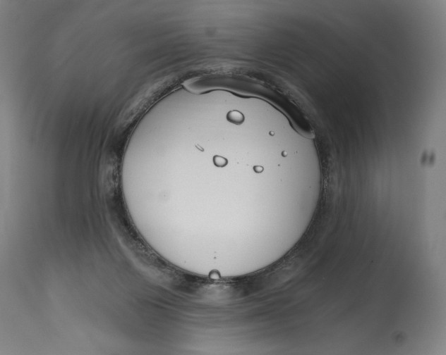 X0000115080119200911171203