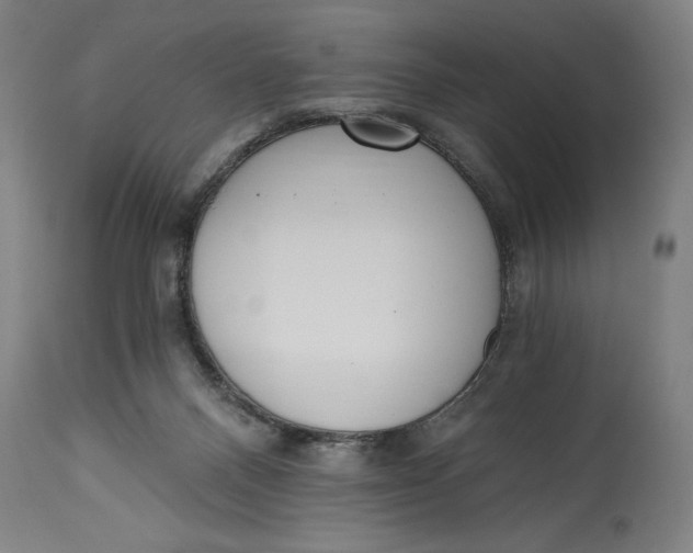 X0000115080120200911171203