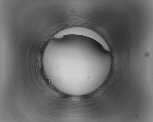 X0000115080121200911171203