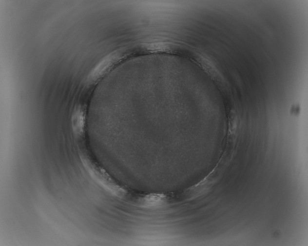 X0000115080124200911171203