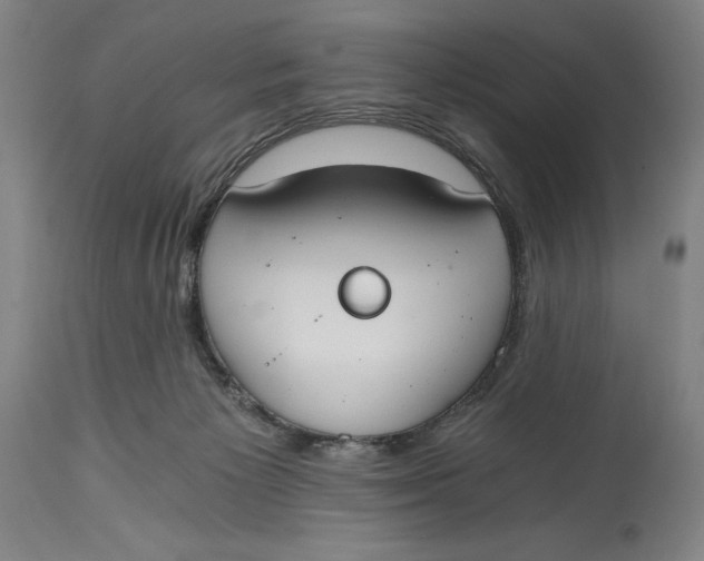 X0000115080125200911171203