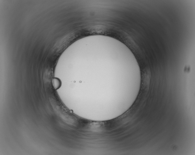 X0000115080126200911171203