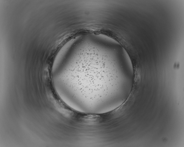 X0000115080128200911171203