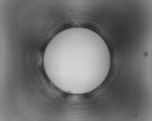 X0000115080129200911171203