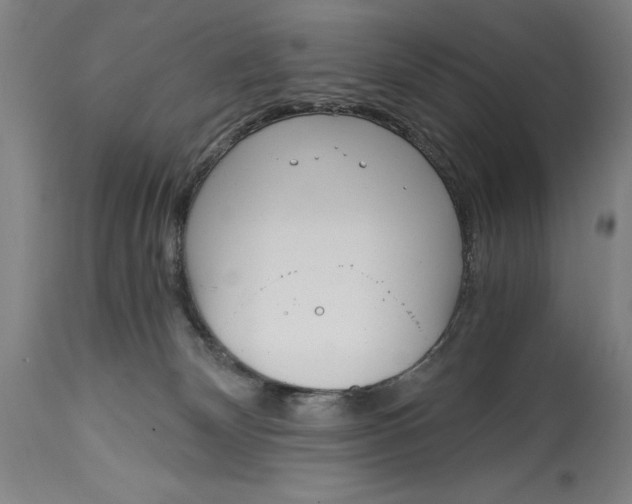 X0000115080132200911171203